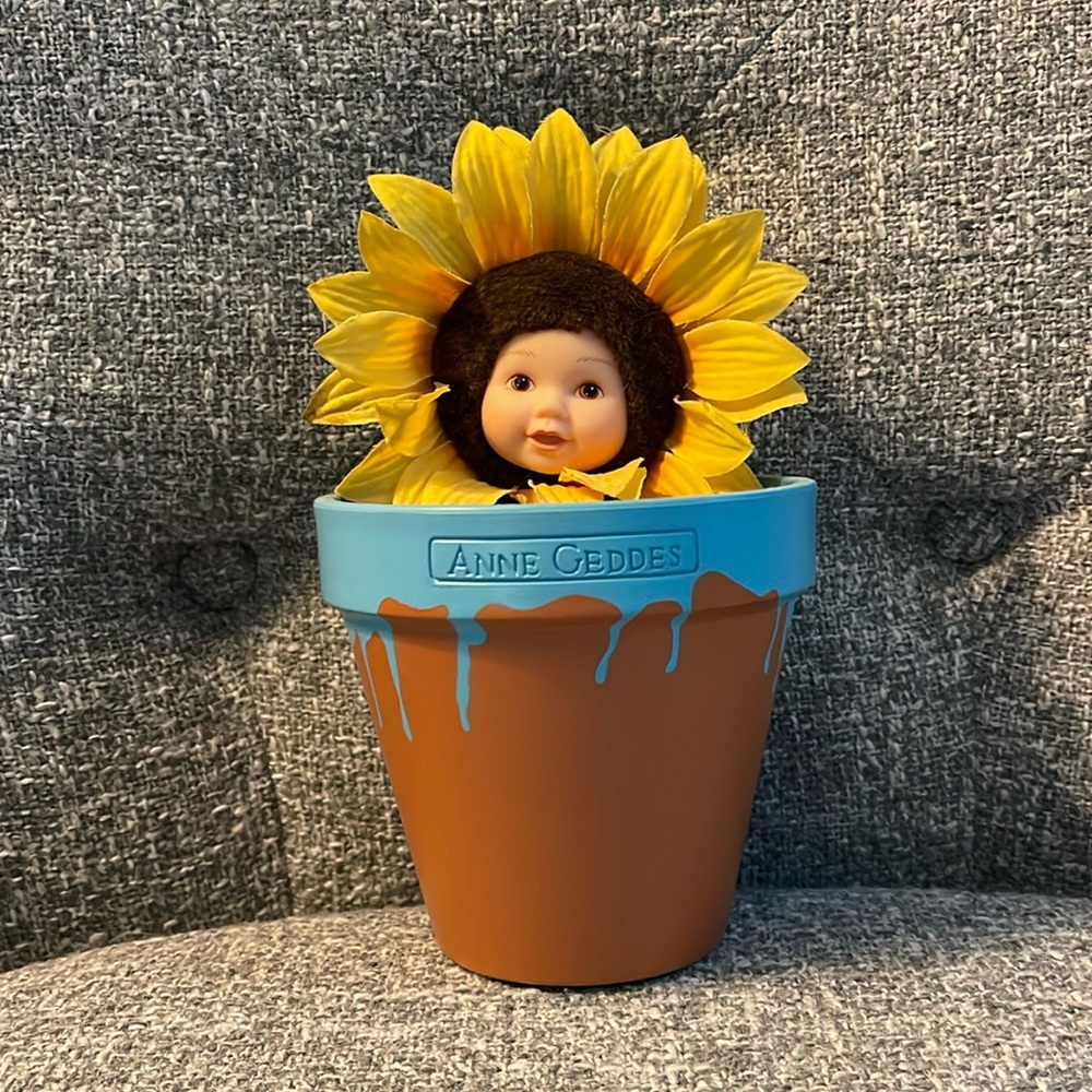 Anne Geddes Flower Pot Baby